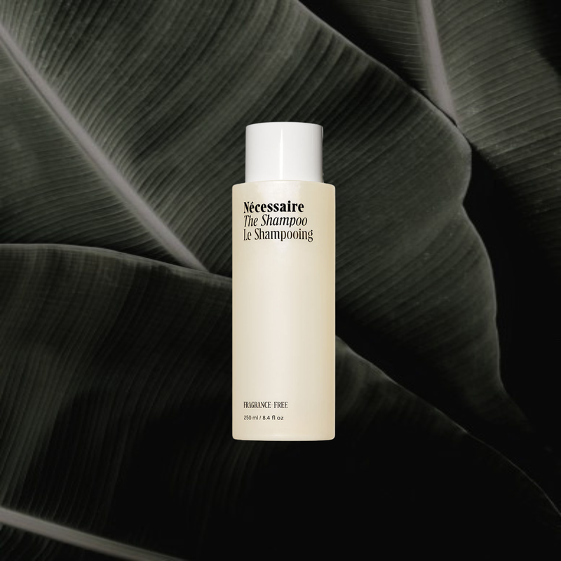 Classic Shampoo