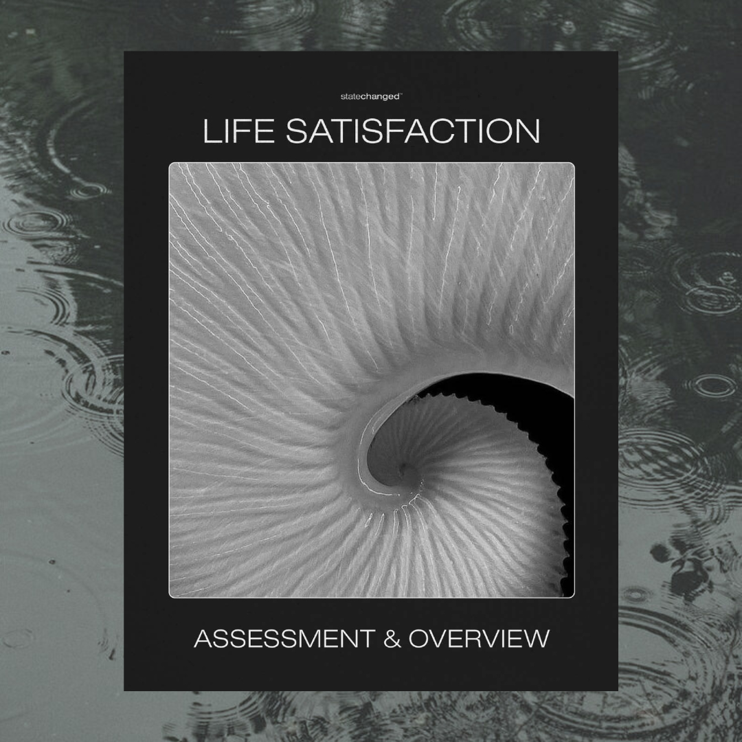 Statechanged life satisfaction assessment and overview cover with a close-up spiral shell image and dark water ripple background